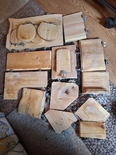 Wooden shelves for rodent - shelves,