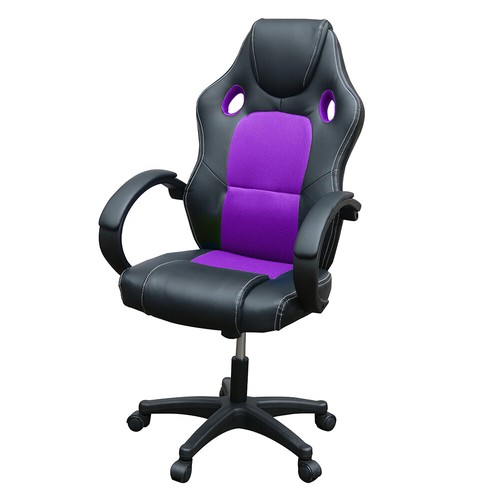 Luxury executive racing gaming - executive,