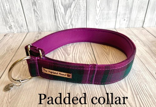 Damson neoprene padded - damson,
