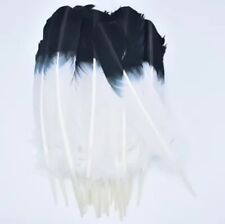 Extra Large White Black  Tip Goose Feathers Arts Crafts Hat Costume  35cm - 40cm