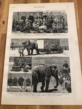 1882 illustrated graphic news print . the auction of myers american circus !