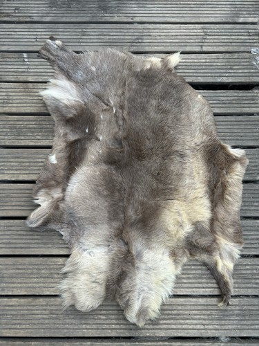 Genuine reindeer skin rug - skin,