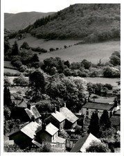 LD331 1984 Original Photo