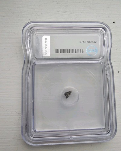 Authentic meteorite - authentic,