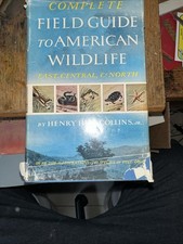 Field Guide To American