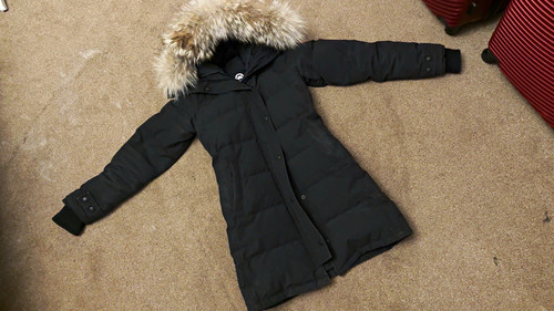 Canada goose women arctic - canada,