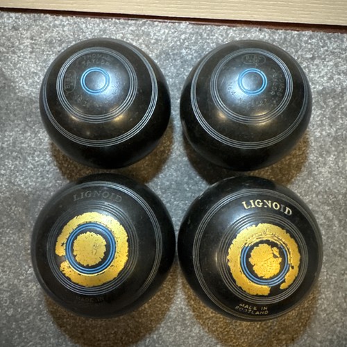 Thomas taylor lignoid - thomas, bowls