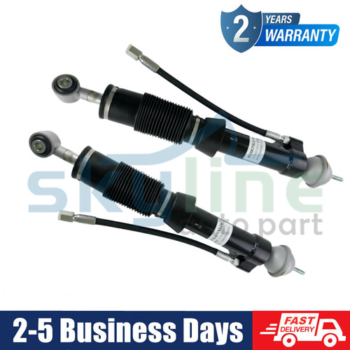 Pair rear hydraulic - l+r, shock
