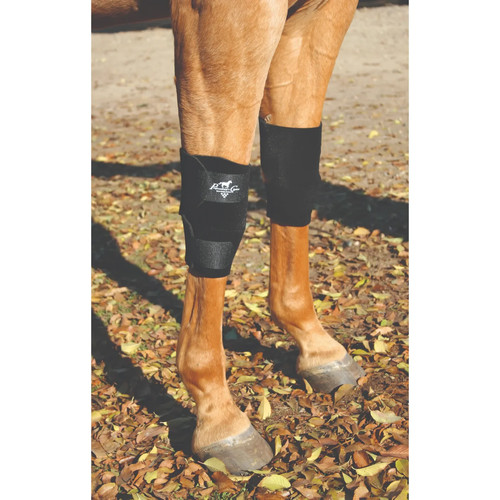 Professionals choice equine - professionals,