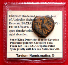 VF Seleucid Antiochus VIII