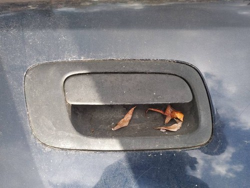 Door handle exterior rear - ,
