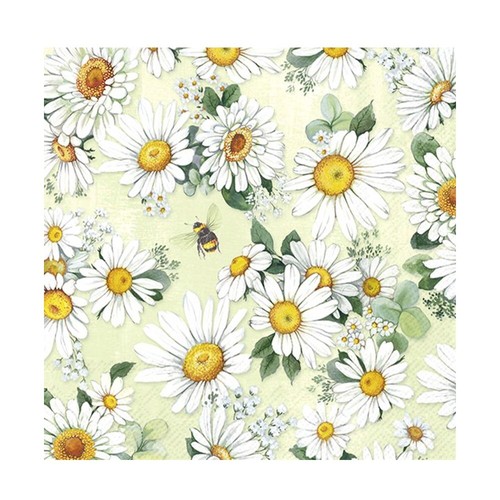 Daisies wreath light - green, ihr