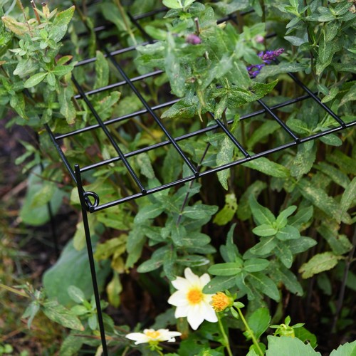 Garden plant support - plant,