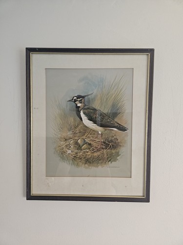 Vintage basil ede framed bird - framed,