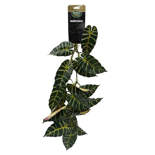Betta terra green plant - green,