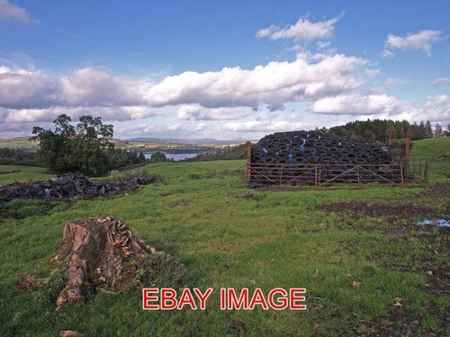 Photo tree stump - ,