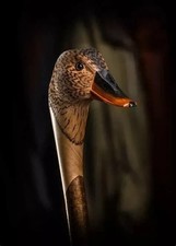 Wooden walking stick hand