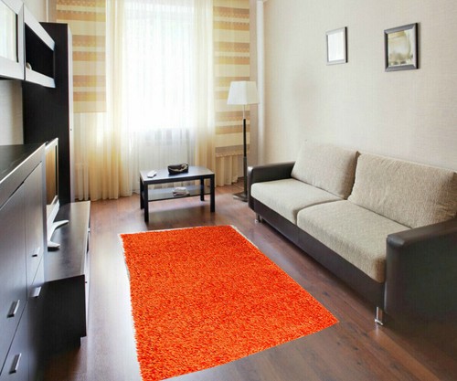 Living room thick large - large, shaggy