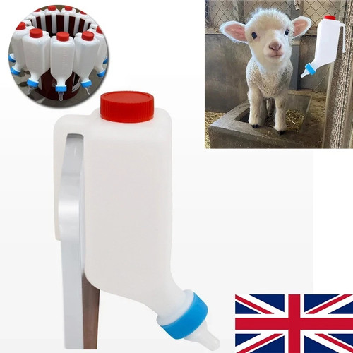 Feeding bottle for lambs goat - bottle,