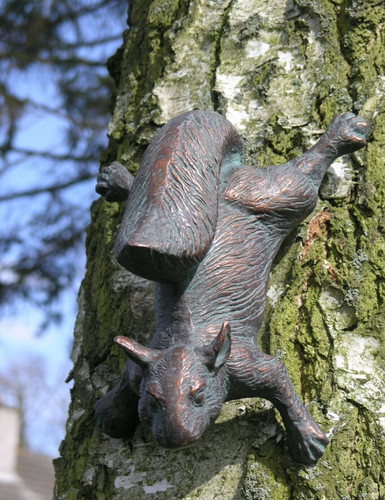 Tree squirrel garden - garden, ornament