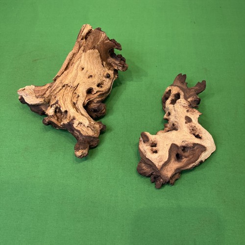 Mopani root wood driftwood - mopani,