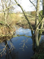 Photo A1 The River Weaver looking upstream Walley's Green  c2011