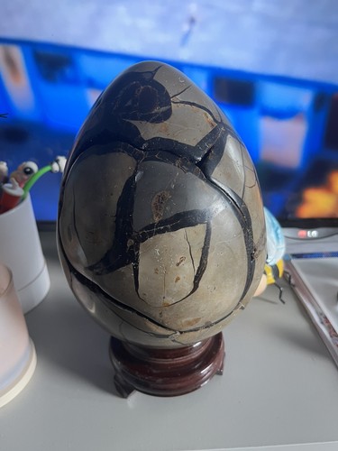 Septarian egg over 5kg - ,