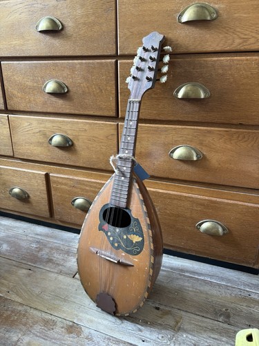 Vintage bowl back mandolin - vintage,