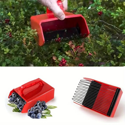 Blueberry picker tool plastic - picker,