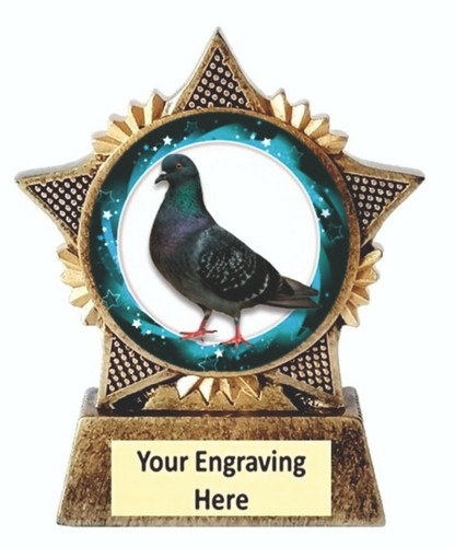 Pigeon trophy star award - award, 90mm
