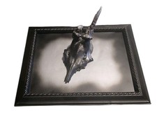 Real Roe Deer Skull In Wooden