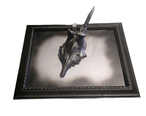 Real roe deer skull - roe, wooden