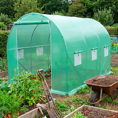 Polytunnel greenhouse poly - polytunnel,