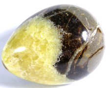 LOVELY LARGE  SEPTARIAN