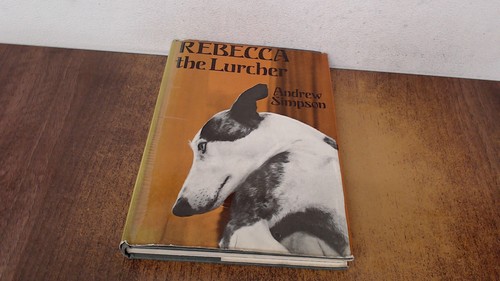 Rebecca the lurcher - the,