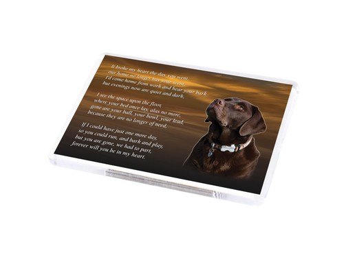 Chocolate labrador dog fridge - chocolate,