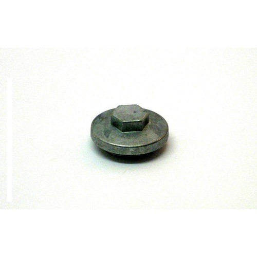 Cap exhaust oil - cap, 2000