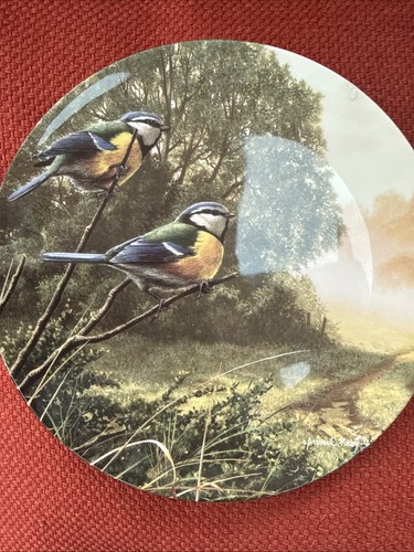 Royal doulton collector plates - doulton,