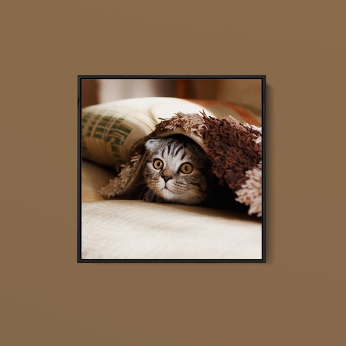 Artographie hide and - hide, seek