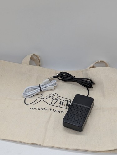 Sustain pedal usb - pedal/usb, cable/bag