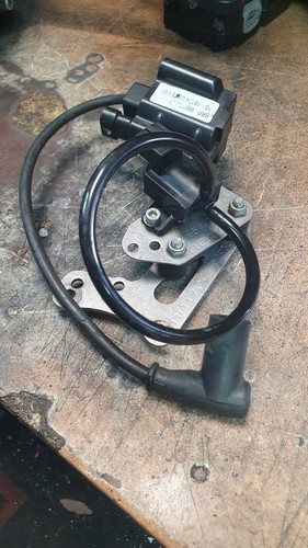 Rotax max evo coil - max,