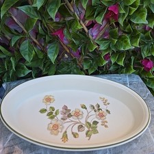 Vintage Retro Marks Spencers Autumn Leaves Oval Oven Roasting Dish 12x7½xH2"