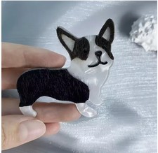 Adorable Cardigan Welsh Corgi