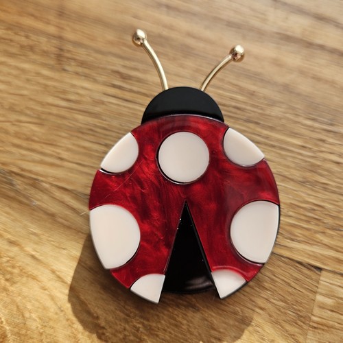 Beautiful acrylic ladybird - acrylic,