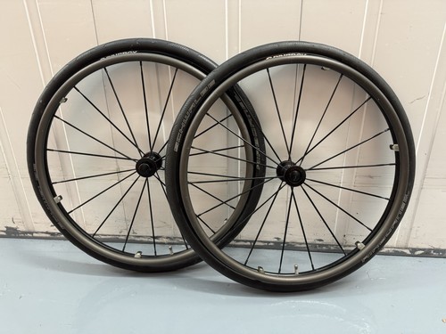 Pair spinergy blade lxl - 26",