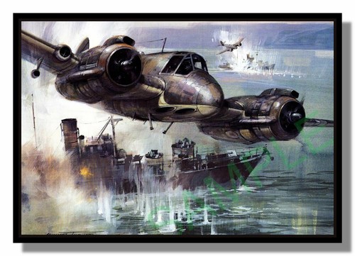 Bristol type 156 beaufighter - type,