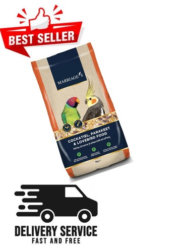 Marriages lovebird food - marriages,