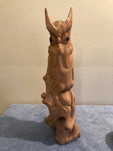 Owl bird statue - , hand