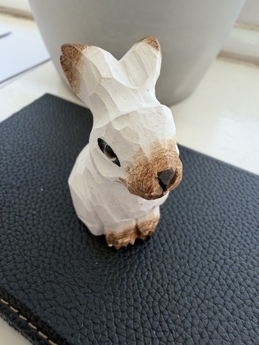 Cute little white rabbit - cute,