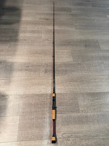 Temple fork tfo professional - temple,